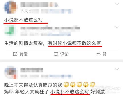 娱乐圈知名爆料小说,揭秘知名爆料小说背后的真实故事